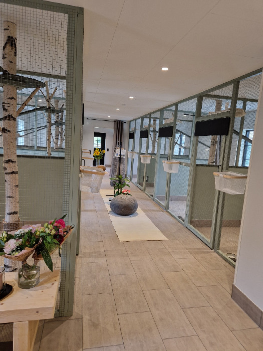 Pensionaten :: Lunnagardens-kattpensionat